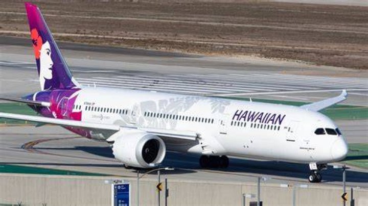Are 787 Dreamliners grounded