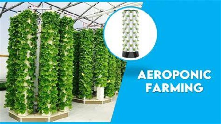 Are aeroponics cost effective