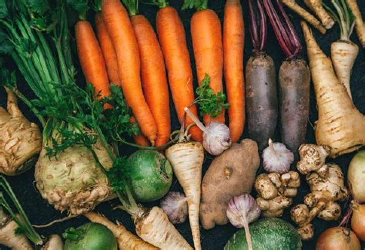 Are carrots a root vegetable