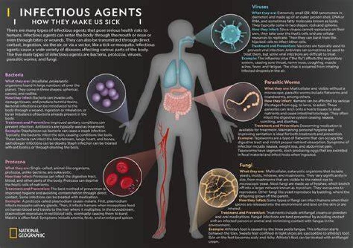 Are infectious agents living