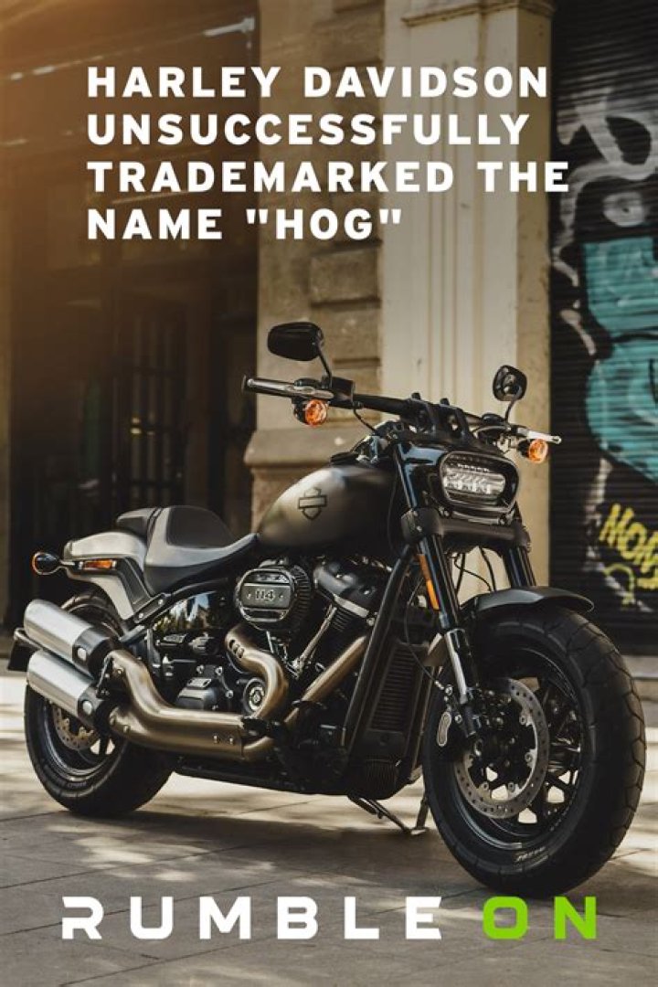 Are only Harleys called hogs