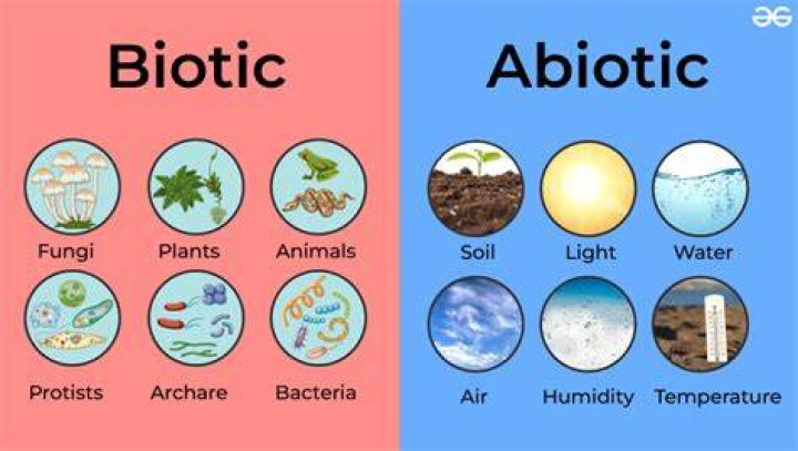 Are plants biotic or abiotic