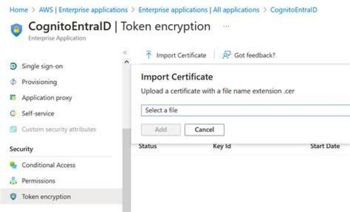 Are SAML assertions encrypted