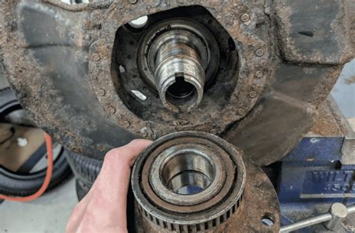Are there back wheel bearings