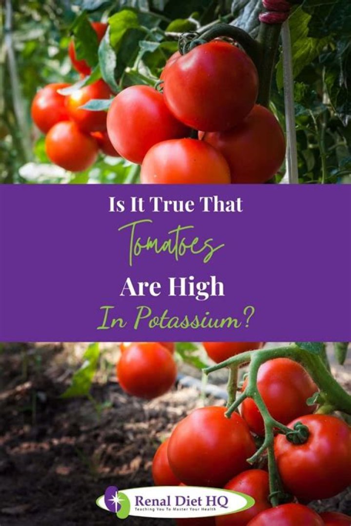 Are tomatoes high potassium