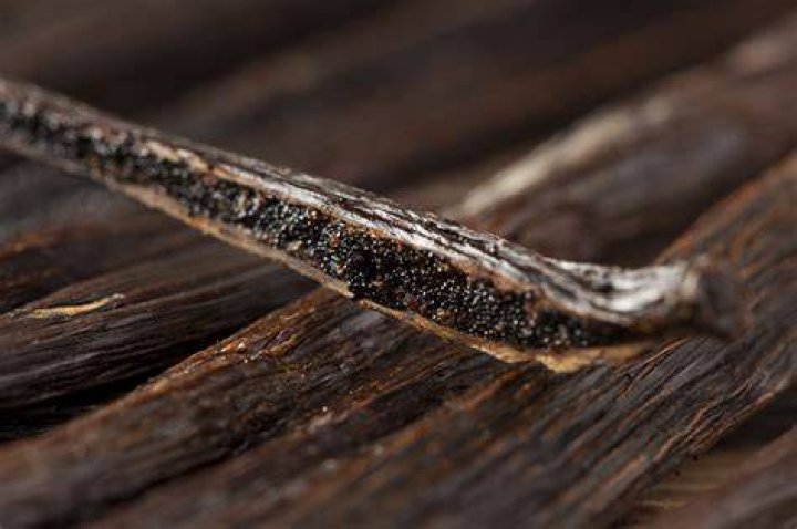 Are vanilla beans poisonous