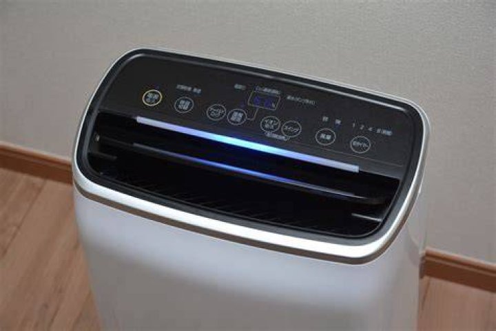 Can a dehumidifier be too big