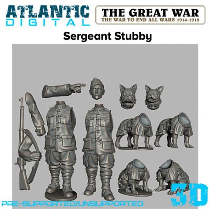 Can a Sergeant Stubby salute