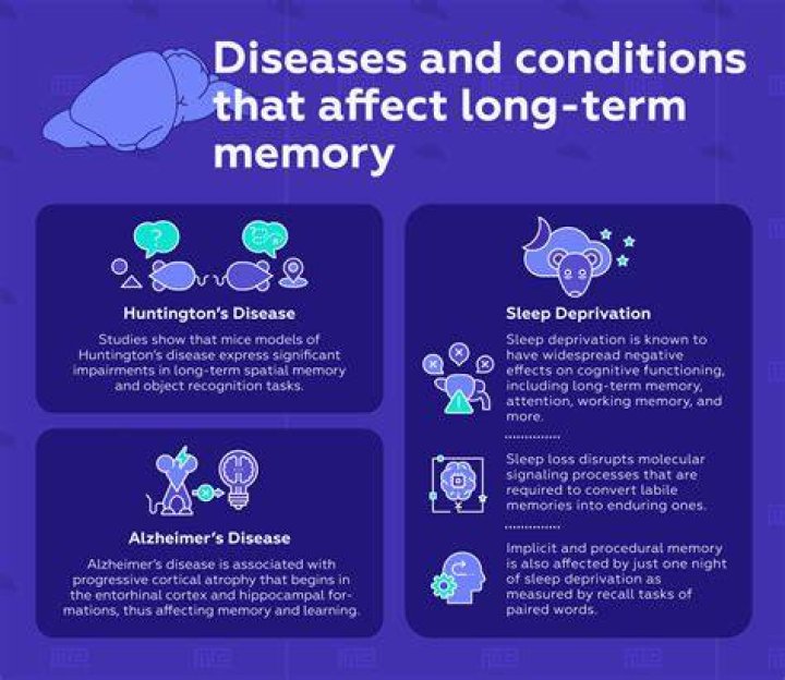 Can attention affect memory