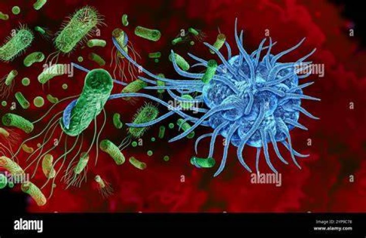 Can bacteria take over cells