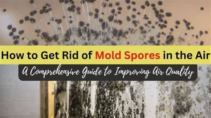 Can candles kill mold spores