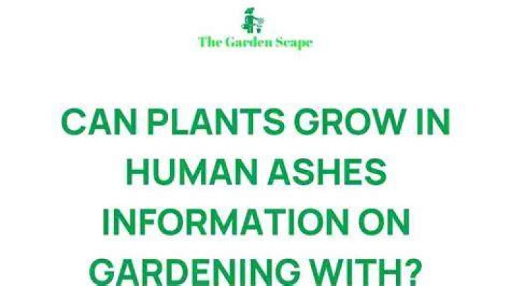 Can human ashes grow a tree
