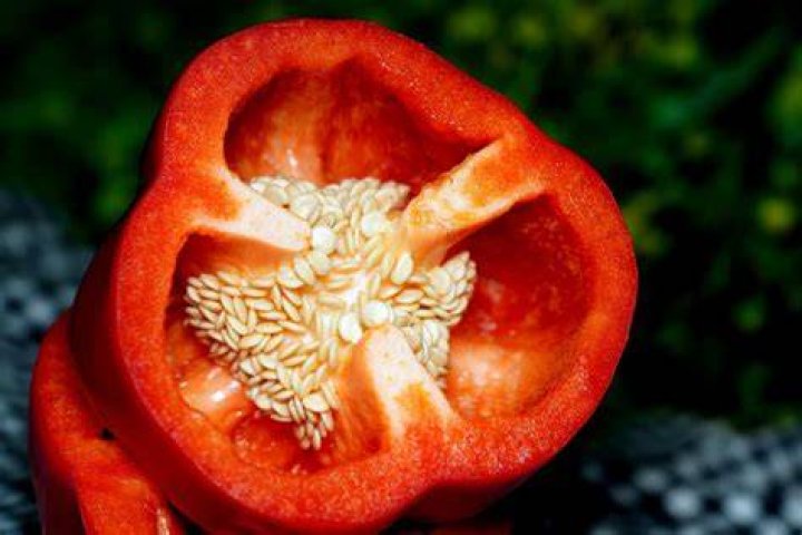 Can I save bell pepper seeds