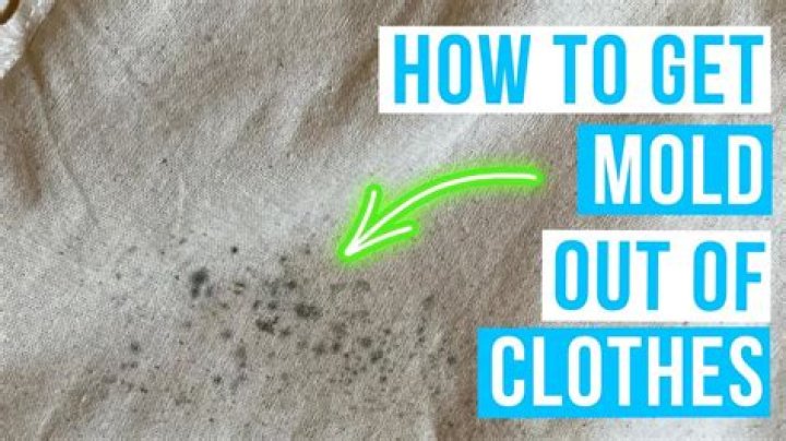 Can moldy clothes be cleaned