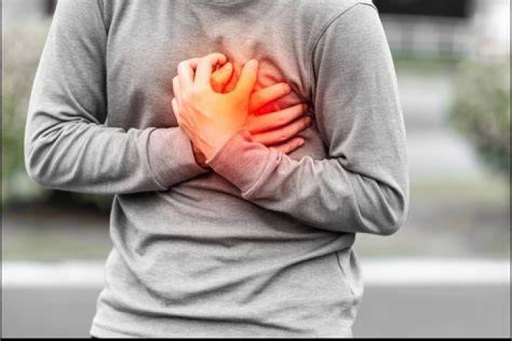 Can pigs have heart attacks