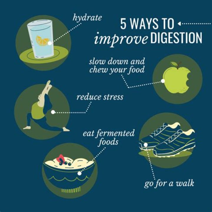 Can slow digestion be fixed