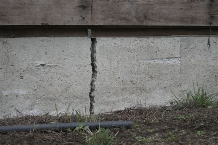 Can trees damage foundations