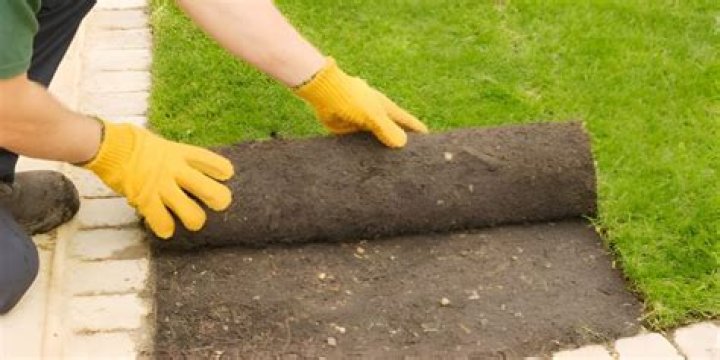 Can you lay sod over compost