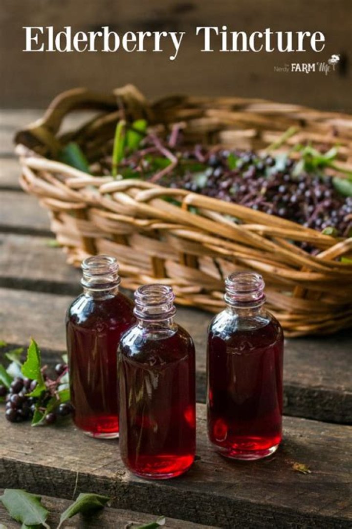 Can you tincture elderberry