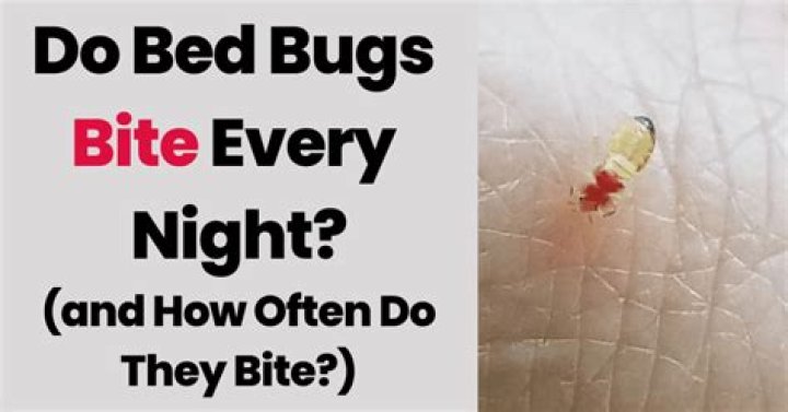 Do bed bugs bite every night
