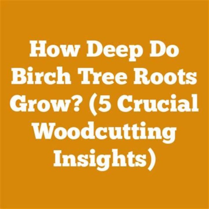 Do birch tree roots go deep