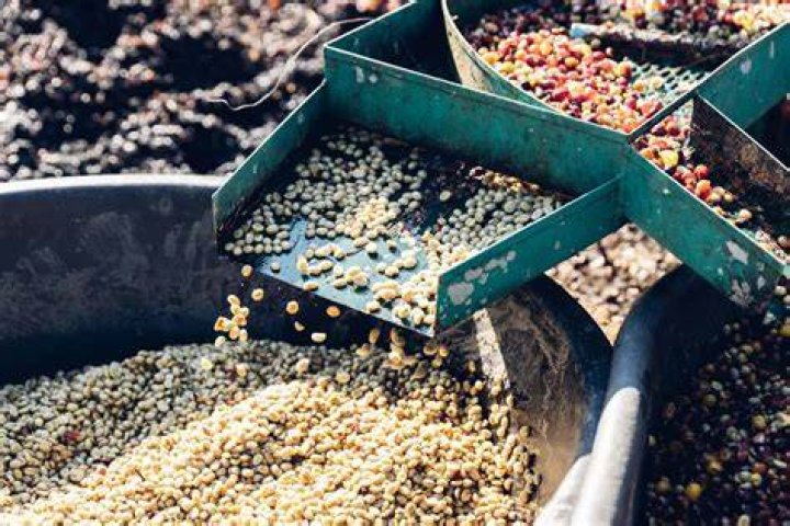 Do coffee beans remove odors