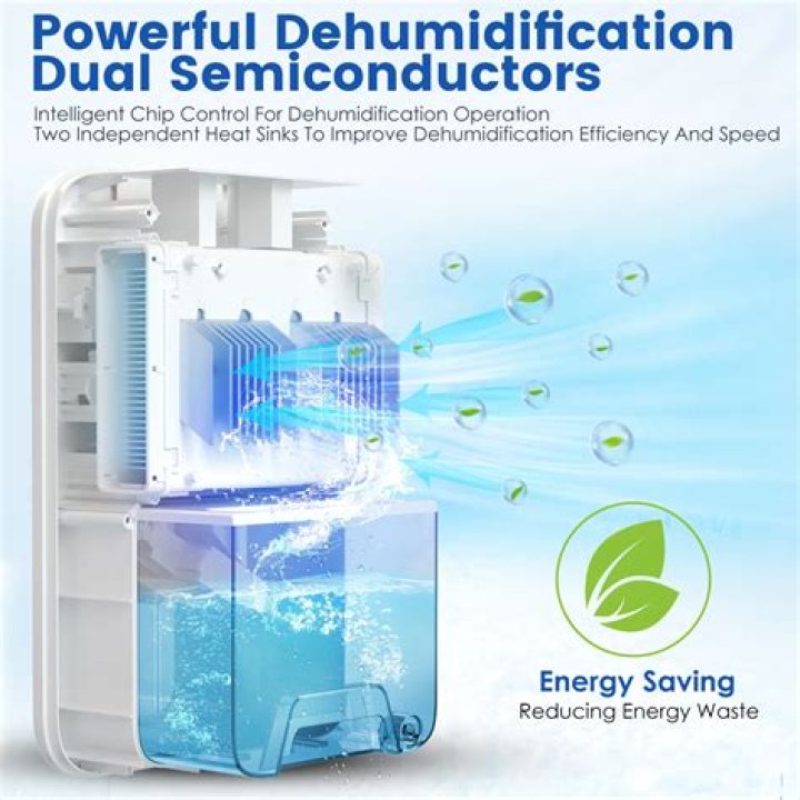 Do dehumidifiers reduce odor