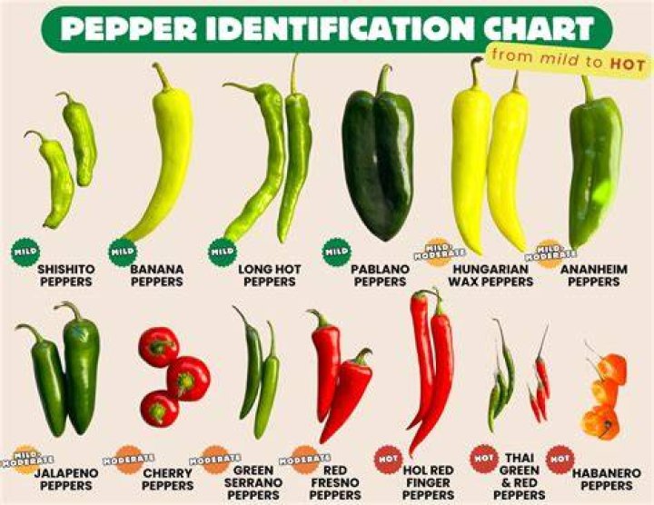 Do green peppers digest well