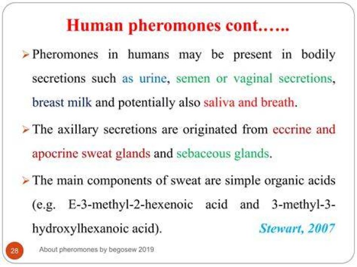 Do humans produce pheromones