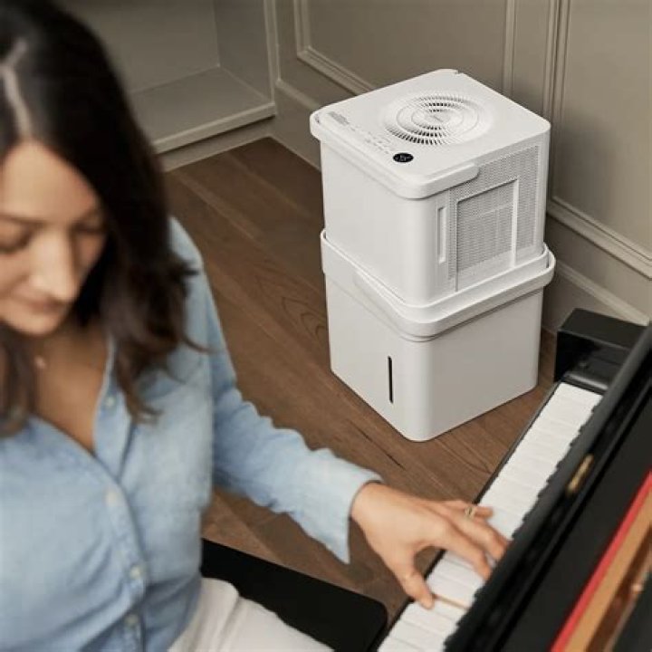 Do humidifiers damage houses