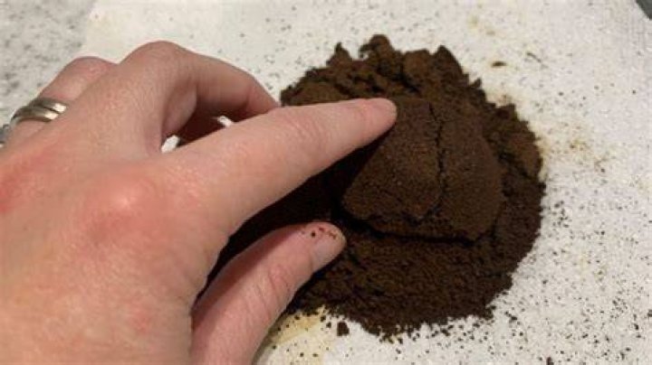 Do roses like coffee grounds