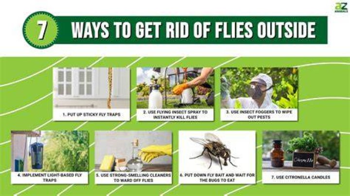 Does alcohol keep flies away