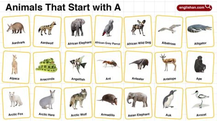 Does any animal have a thumb