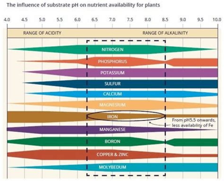 Does calcium affect soil pH