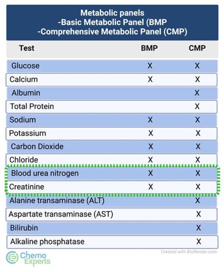 Does CMP include cholesterol