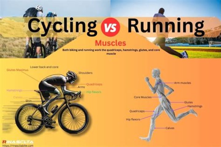 Does cycling shorten muscles
