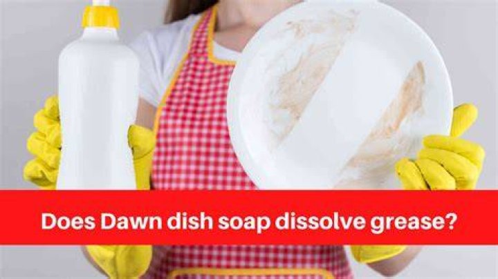 Does dish soap dissolve oil