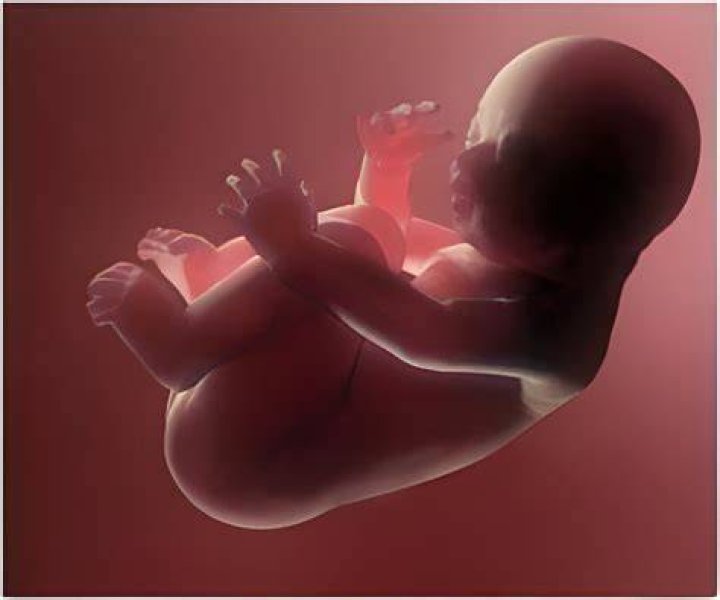 Does labetalol affect fetus