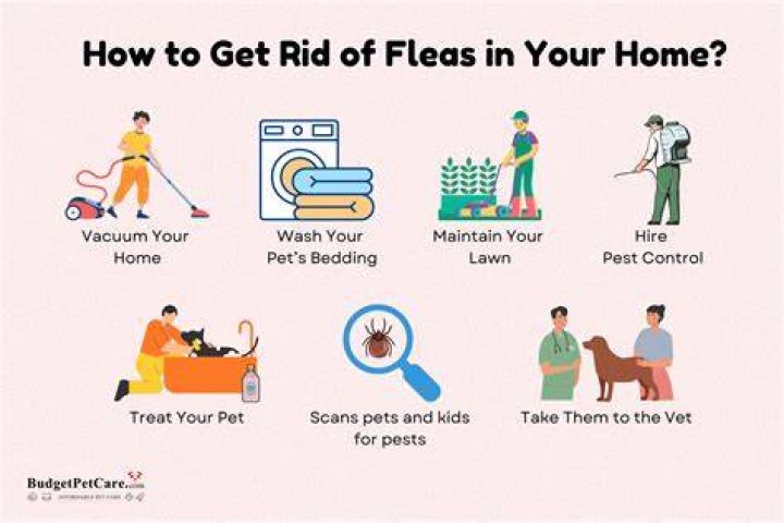 Does lime Kill ground fleas