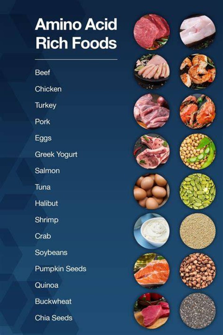 Does meat have nucleic acids