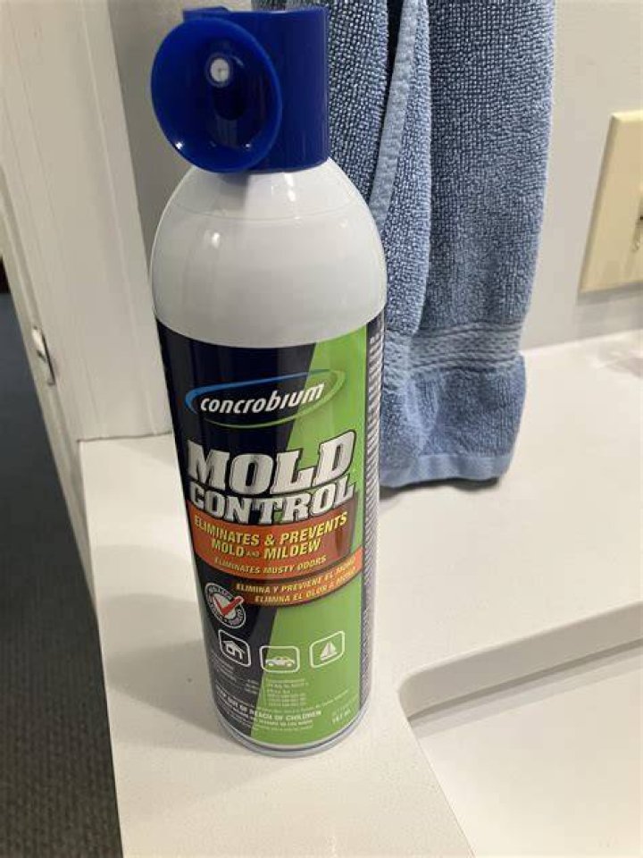 Does Mold Control Spray work