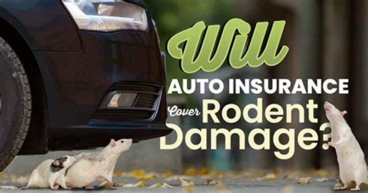 Does MPI cover rodent damage
