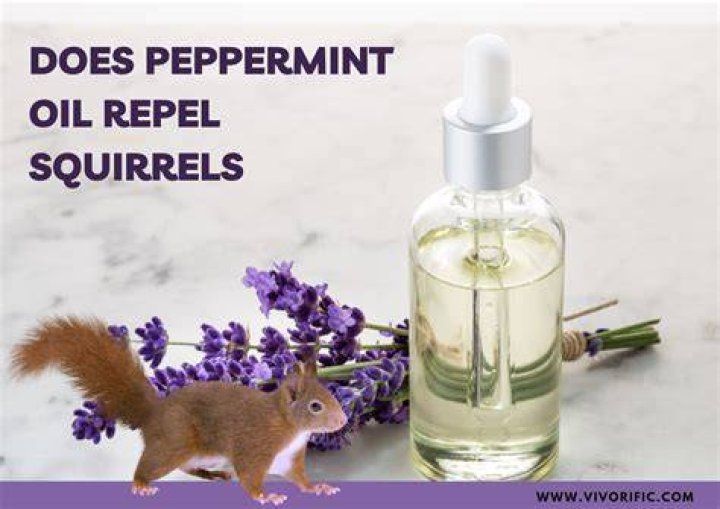 Does paprika deter squirrels