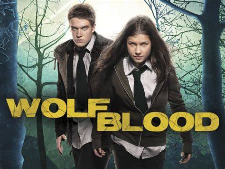 Does Rhydian leave Wolfblood