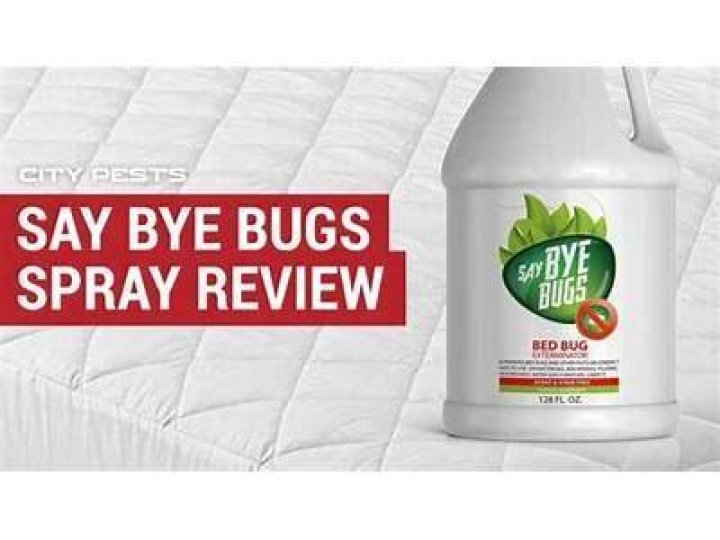 Does say bye bugs kill fleas