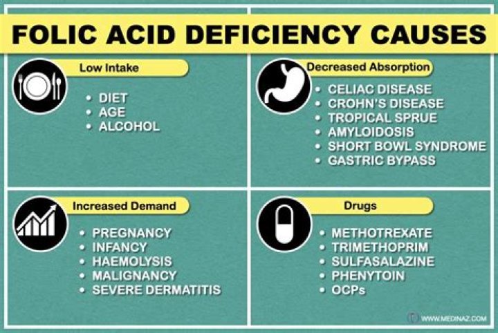 Does spinach have folic acid