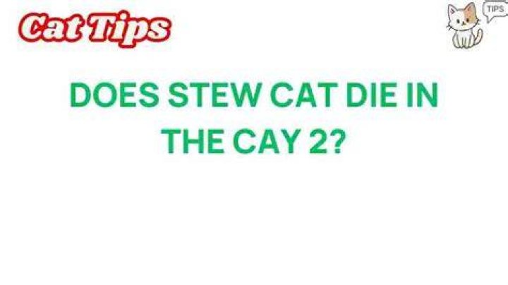 Does Stew cat die in the Cay