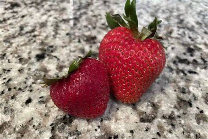 Does strawberry go with rose
