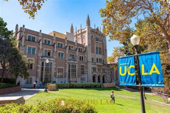 Does UCLA look at AP classes