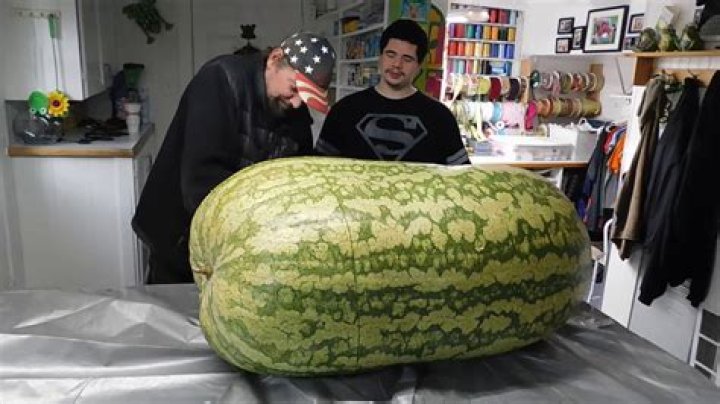 How big can a watermelon get
